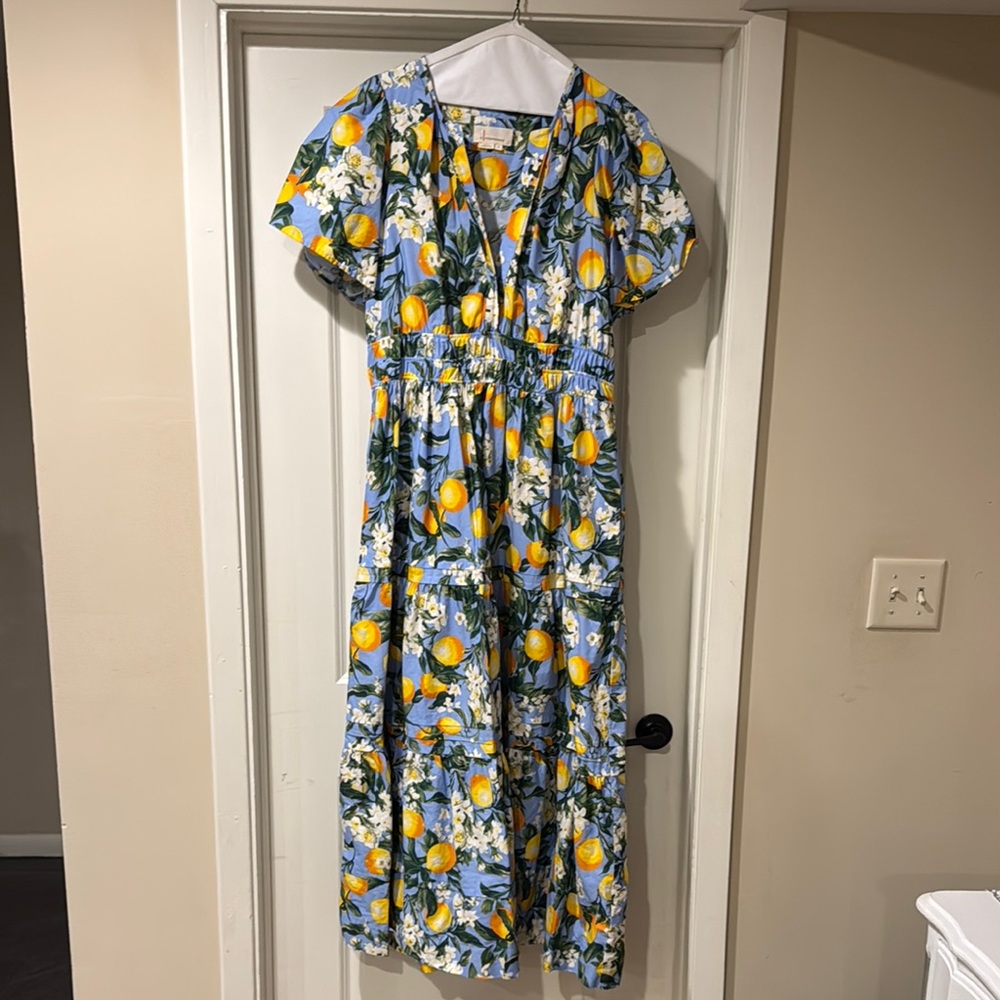Anthropologie Blue and Yellow Floral Maxi Dress